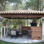 Oasis