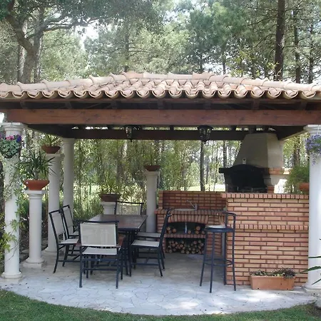 Oasis