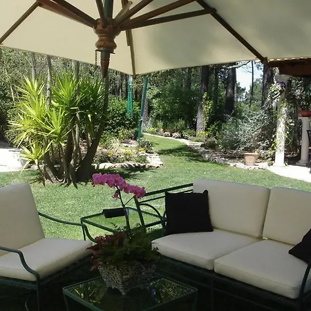 Oasis 3*