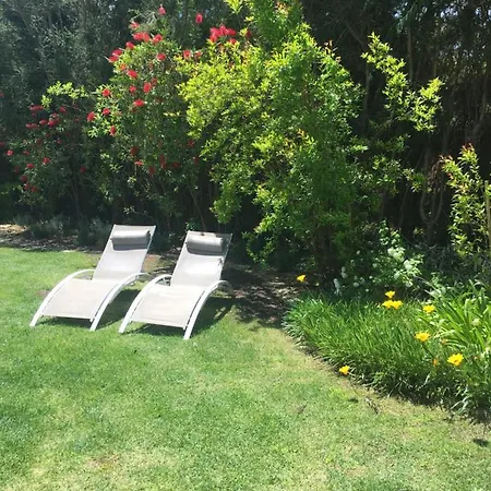 Guest house Oasis