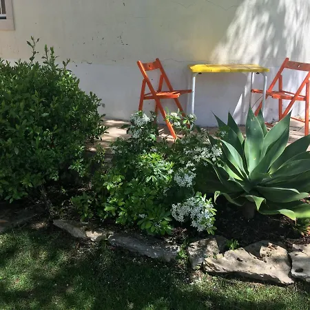 Oasis 3*