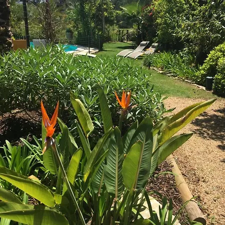 Oasis Azeitao