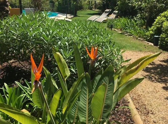 Oasis Azeitao